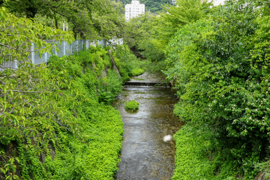 神戸「宇治川」