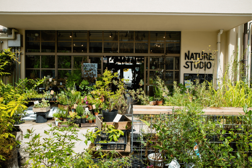 NATURE STUDIO「HERB SHOP」