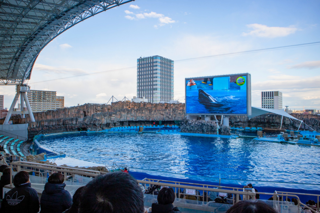 名古屋港水族館、スタジアム