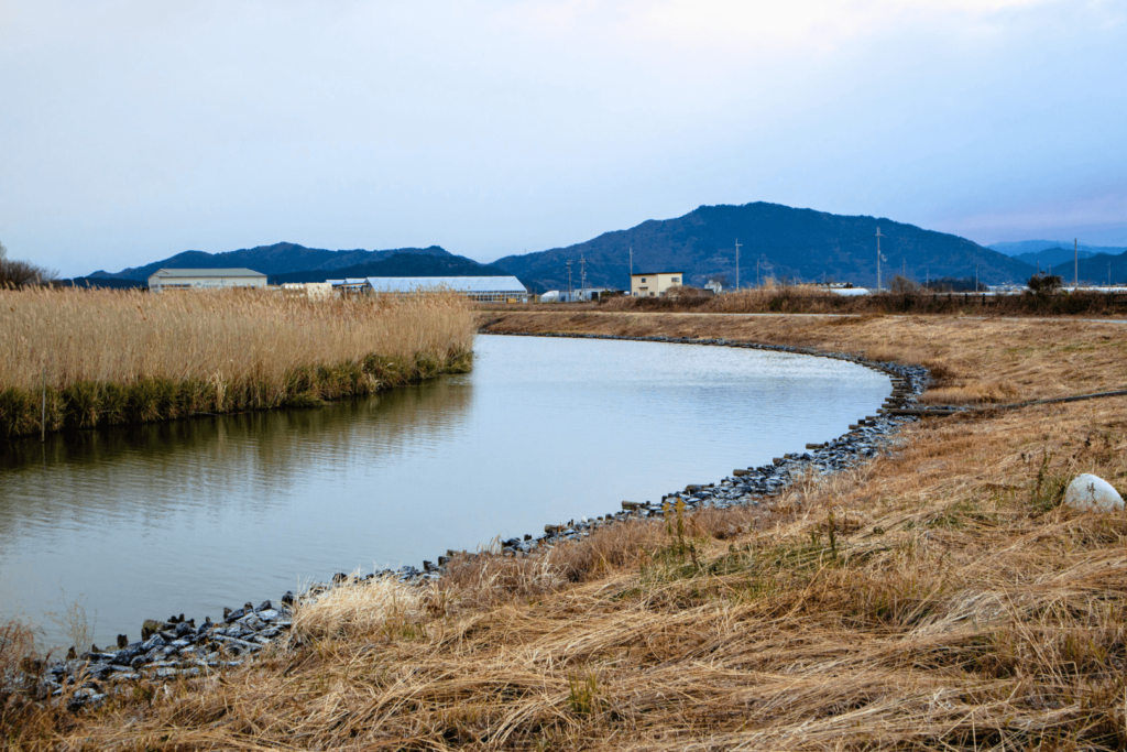 西の湖