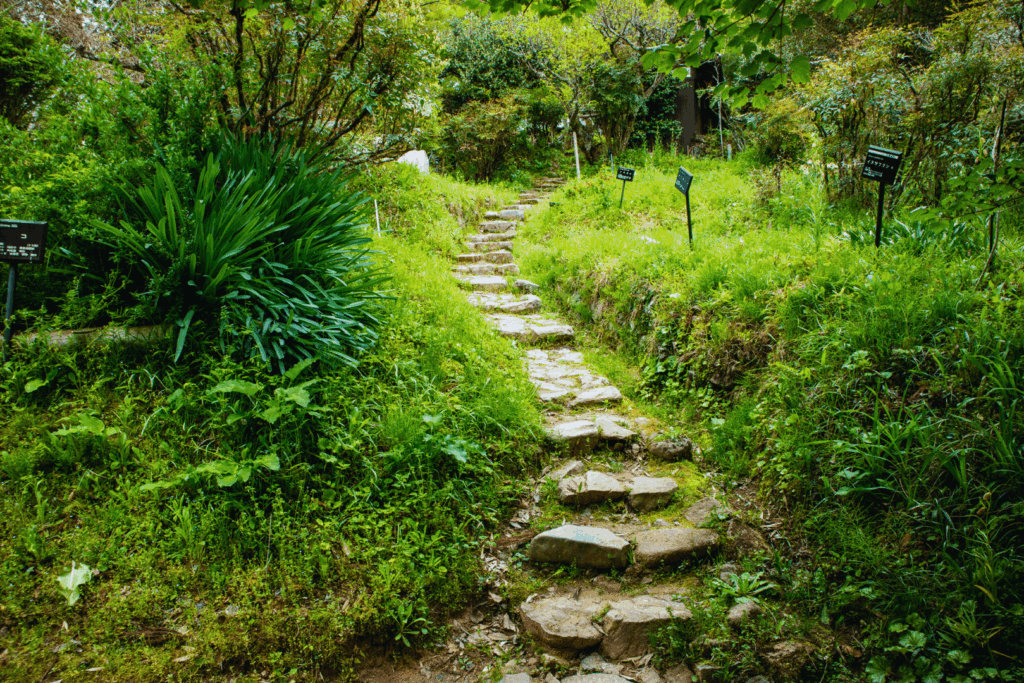森野旧薬園