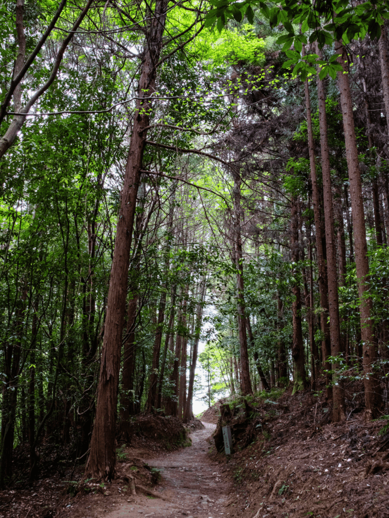 山の辺の道
