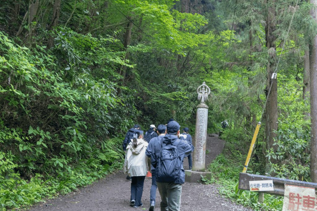 高尾山6号路