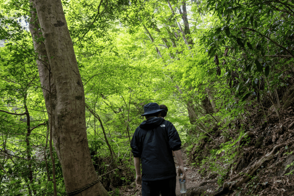 高尾山6号路